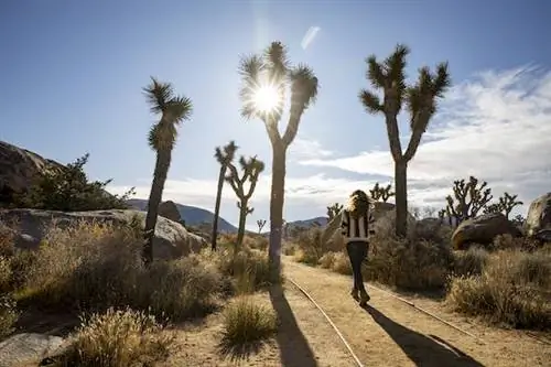 10 бесплатных способов познакомиться с Палм-Спрингс