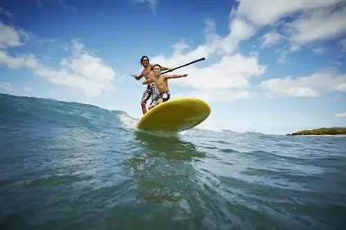 Лучшее время для посещения Мауи, чтобы понаблюдать за китами, поваляться на пляже или избежать скопления людей