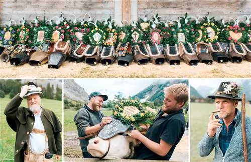 На выставке представлены украшения, поскольку рабочие фермы украшают своих коров для праздника.