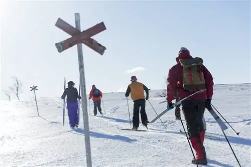 Четыре человека в яркой лыжной экипировке направляются в гору, тренируясь на беговых лыжах.