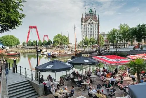 13 главных вещей, которые нужно сделать в Роттердаме: архитектура, культура и много джина