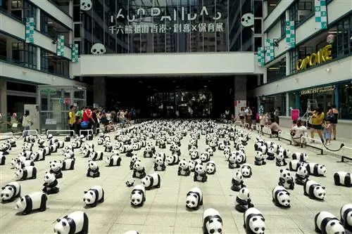 Дизайн бесплатно: просматривайте креативный центр PMQ.