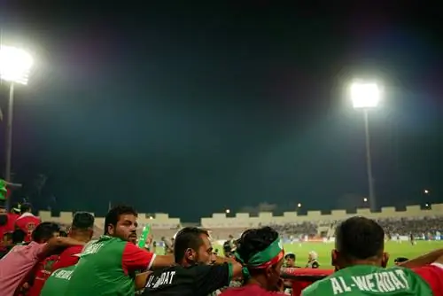 Фанаты Wehdat на футбольном матче против Аль-Фейсали недалеко от Аммана, Иордания.
