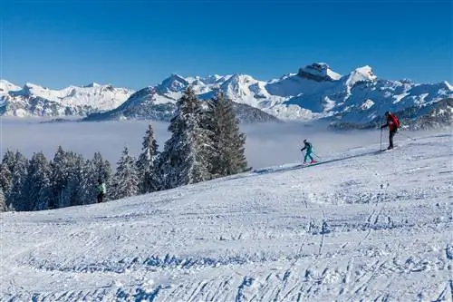 Вид с вершины холма Хох-Ибриг - Ибергерегг, Швейцария