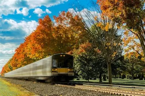 Как передвигаться по штату Нью-Йорк на поезде, самолете и автомобиле