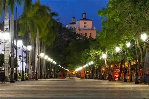 Декоративные чугунные уличные фонари, установленные под рядами деревьев, расположены по обеим сторонам мощеной улицы Пасео-де-ла-Принсеса в старом городе; Ночная жизнь Сан-Хуана выплескивается на эти улицы с наступлением темноты