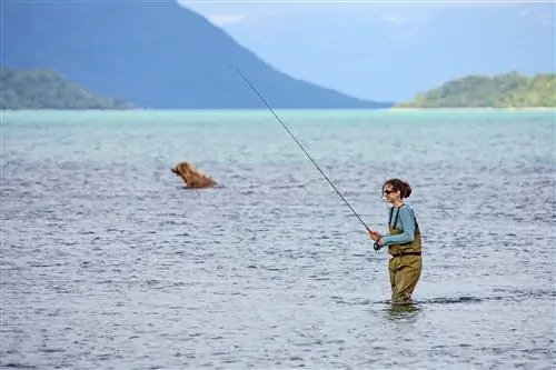 Женщина ловит лосося на фоне плавающего медведя