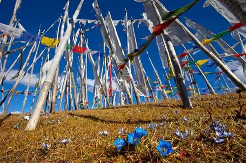 Джунгли молитвенных флагов возвышаются над перевалом Чели Ла (3810 м), по пути в долину Хаа из Паро. Бутан, 2005 г.