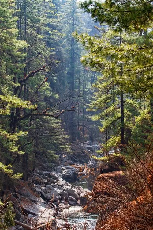 Лесной овраг, ведущий из Мембартшо