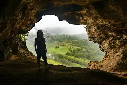 Человек в силуэте смотрит через вход в пещеру на зеленую долину внизу