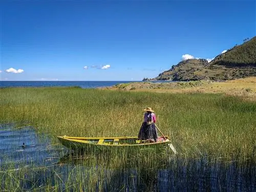Женщина в традиционном боливийском платье ведет желто-зеленую лодку через тростниковое болото в солнечный день в Исла-Парити, Боливия.