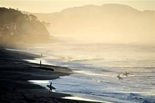 Туманный утренний пляж в городе Камакура в префектуре Канагава в Японии