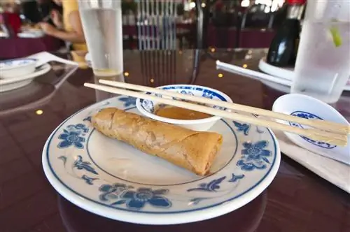 Вьетнамский спринг-ролл