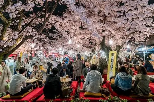 Когда лучше отдыхать в Японии?