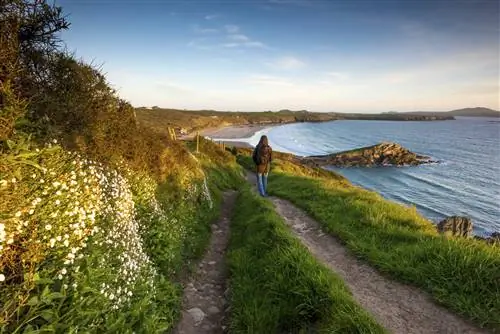 Путешественник следует по деревенскому побережью Уэльса.