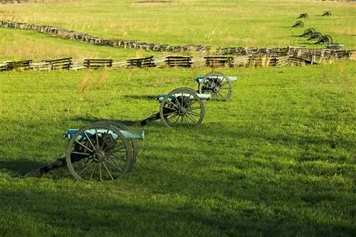 Реконструированные пушки в поле в Национальном военном парке Пи-Ридж в Арканзасе, США, на месте сражения Гражданской войны.