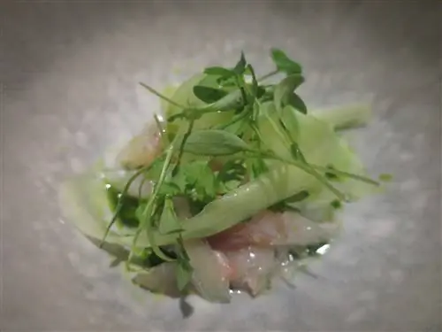 Таллиннская еда - Тирадито из морского окуня с тигровым молоком, маслом кориандра и микрокориандром: творение в перуанском стиле в ресторане Ore в Таллинне