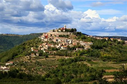 Дома и крепостные стены Мотовуна расположились на зеленом холме