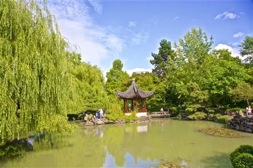 Классический китайский парк доктора Сунь Ятсена, Чайнатаун, Ванкувер, Британская Колумбия, Канада. Этот традиционный парк с бесплатным входом создан и наполнен символами спокойствия.