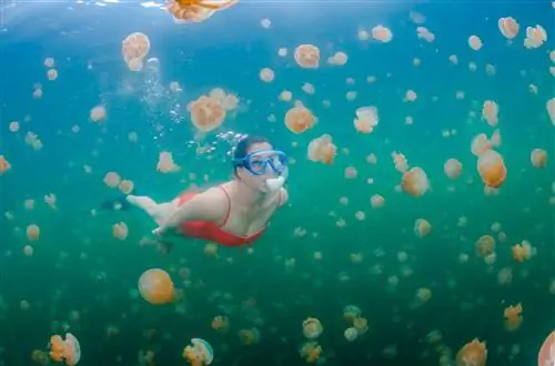 Новости путешествий - Палау