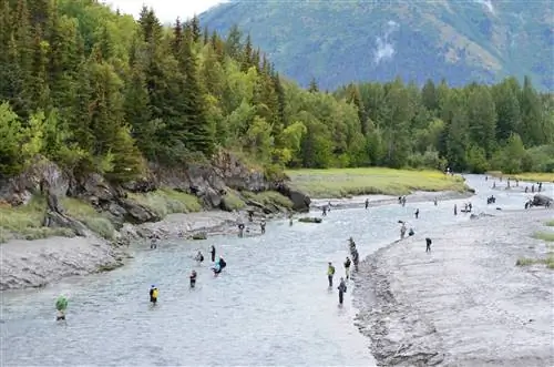 Рыбацкая леска Bird Creek для ловли серебряного лосося