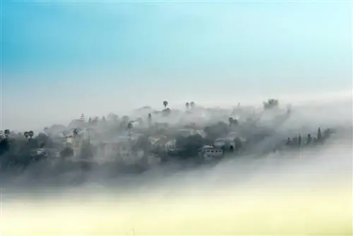 Горная сельская деревня, покрытая туманом, гора Кармель, Израиль