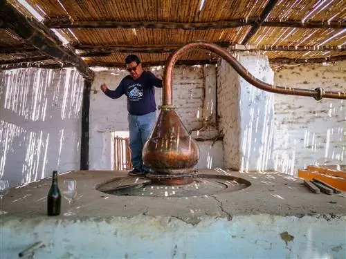 Мужчина обходит небольшой медный резервуар на ликероводочном заводе писко в Перу.