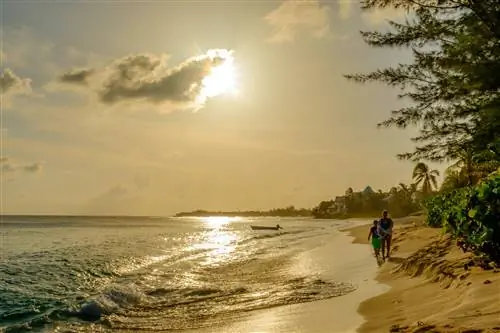 Пара прогуливается на закате вдоль прибоя, песка и пальм на пляже Кладбища, Каймановы острова-j.webp
