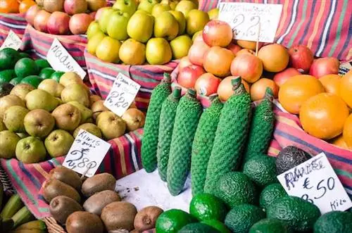 Странная и замечательная еда и напитки Мадейры