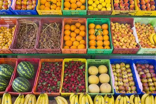 Фрукты для продажи на рынке в Хаммамете, Тунис