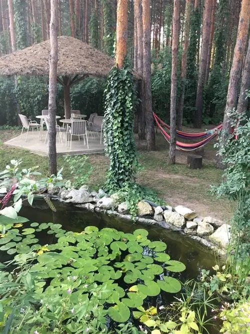 Прекрасный загородный дом Vila Dunavski Raj расположен в лесу недалеко от Дуная, вверх по течению от Голубаца.