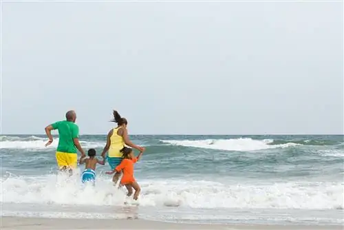 Семья Блэков прыгает через волны у берегов Монтока.