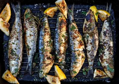 Жареный, Сардины, В, А, Травяной, Лимон, Маринад, На, А, Гриль