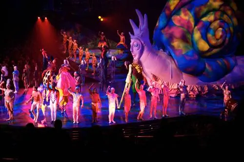 Таинственное представление, Cirque du Soleil
