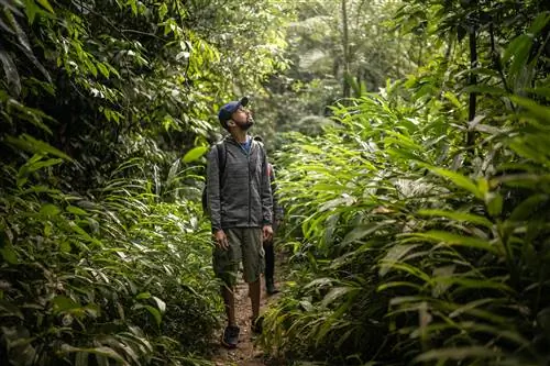 Мужчина гуляет по бразильскому тропическому лесу