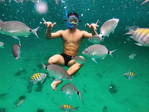 Мужчина, занимающийся сноркелингом под водой в Бразилии, демонстрирует свое восхищение среди стаи маленьких оранжевых рыбок.