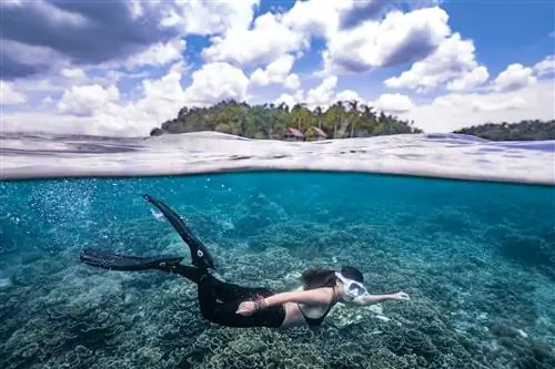 Разделенный снимок фридайвера, плавающего под океаном в Раджа Ампат с небольшим островом на поверхности