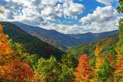 Особенности - Падение на Cherohala Skyway