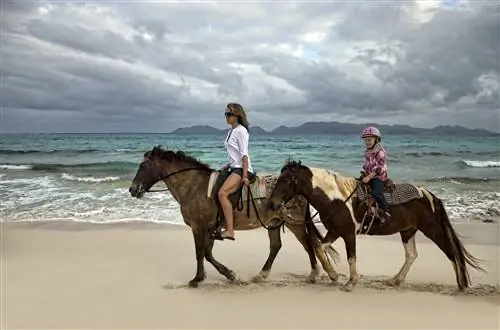 Мать и дочь катаются на лошадях на пляже в Ангилье