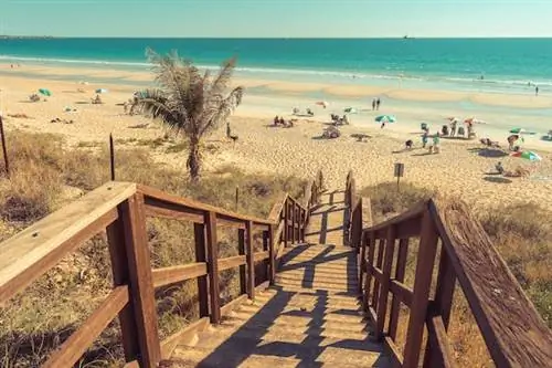 Австралия готова к исследованию, поскольку последний штат вновь открывает свои границы