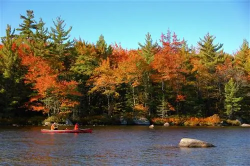 Красивая осенняя листва в национальном парке Кеджимкуджик, Новая Шотландия, Канада