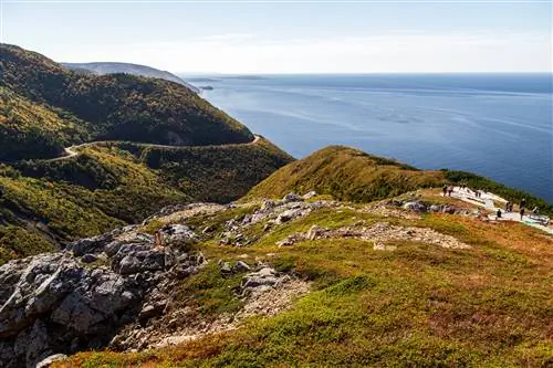 Фрагмент тропы Skyline, побережье Кейп-Бретон, Новая Шотландия.