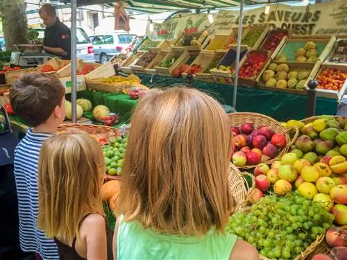 Эвелин и ее братья и сестры исследуют красочный продуктовый рынок Европы.
