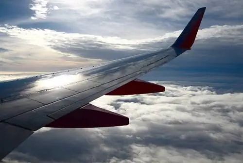 Delta Air LInes предлагает приложение для медитации для использования на своих рейсах.