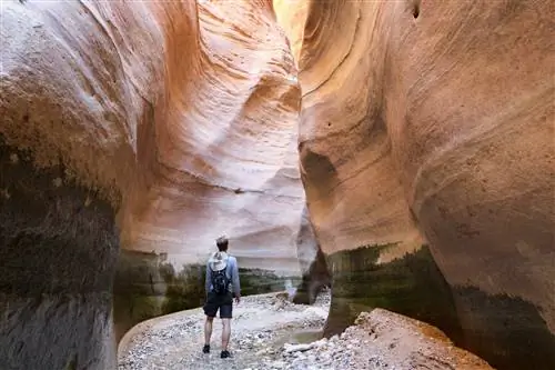 Мужчина идет по щелевому каньону в Вади-Гувейр, одном из самых длинных вади в биосферном заповеднике Дана.