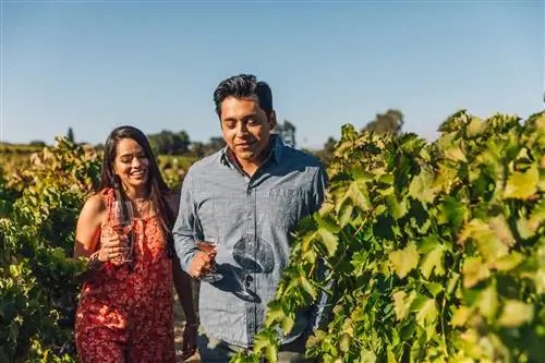 Молодая пара гуляет по винограднику в Калифорнии.