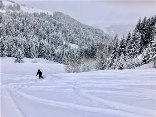 Лыжник прокладывает себе путь через красивую зимнюю сцену.