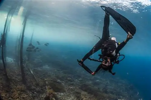 Аквалангист, держась за ласты, переворачивается вверх ногами на дне океана.
