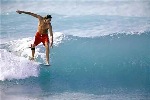 Серфер в Саут-Пойнт, Барбадос.