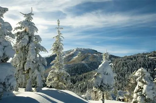 Снежные подушки на курорте Deer Valley Resort